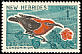 Cardinal Myzomela Myzomela cardinalis  1966 English definitives 