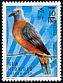 Vanuatu Imperial Pigeon Ducula bakeri