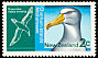 Chatham Albatross Thalassarche eremita  1970 Chatham Islands 2v set
