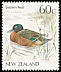 Brown Teal Anas chlorotis  1987 Native birds 