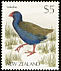 South Island Takahe Porphyrio hochstetteri  1988 Native birds 