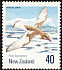 Antarctic Petrel Thalassoica antarctica  1990 Antarctic birds 