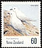 Snow Petrel Pagodroma nivea  1990 Antarctic birds 