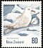 Southern Fulmar Fulmarus glacialoides  1990 Antarctic birds 