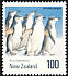 Chinstrap Penguin Pygoscelis antarcticus  1990 Antarctic birds 