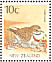 Double-banded Plover Charadrius bicinctus  1994 PHILAKOREA 94 Sheet