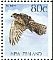 New Zealand Falcon Falco novaeseelandiae  1995 Native birds Booklet