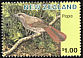 South Island Piopio Turnagra capensis †  1996 Extinct birds 