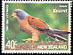 Lesser Kestrel Falco naumanni  2000 Threatened birds 
