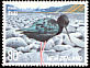 Black Stilt Himantopus novaezelandiae  2000 Threatened birds 