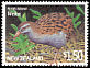 Weka Gallirallus australis  2000 Threatened birds 