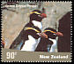 Snares Penguin Eudyptes robustus  2001 Penguins 