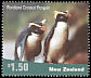 Fiordland Penguin Eudyptes pachyrhynchus  2001 Penguins 