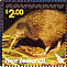 Southern Brown Kiwi Apteryx australis