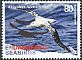 Antipodean Albatross Diomedea antipodensis  2014 Endangered seabirds 