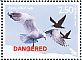 Black-billed Gull Chroicocephalus bulleri  2014 Endangered seabirds Sheet