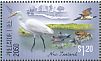 Great Egret Ardea alba