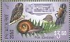 Morepork Ninox novaeseelandiae  2018 Predator free 2050 Sheet