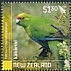 Yellow-crowned Parakeet Cyanoramphus auriceps  2020 Kakariki - New Zealand Parakeets 