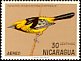 Spot-breasted Oriole Icterus pectoralis  1971 Nicaraguan birds 