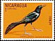 Great-tailed Grackle Quiscalus mexicanus  1971 Nicaraguan birds 