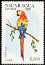 Scarlet Macaw Ara macao  1981 Birds 