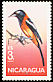 Venezuelan Troupial Icterus icterus  1986 Birds 