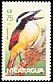 Great Kiskadee Pitangus sulphuratus  1986 Birds 
