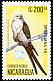 Swallow-tailed Kite Elanoides forficatus  1989 Brasiliana 89 