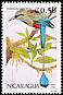 Turquoise-browed Motmot Eumomota superciliosa  1991 Birds 