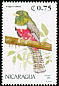 Collared Trogon Trogon collaris  1991 Birds 