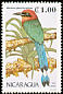 Broad-billed Motmot Electron platyrhynchum  1991 Birds 