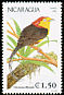 Wire-tailed Manakin Pipra filicauda  1991 Birds 