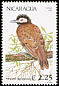Black-spotted Bare-eye Phlegopsis nigromaculata  1991 Birds 