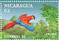 Scarlet Macaw Ara macao