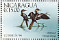 Anhinga Anhinga anhinga  1994 Nicaraguan forest fauna  MS