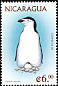 Chinstrap Penguin Pygoscelis antarcticus  1999 Penguins 