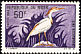 Western Cattle Egret Bubulcus ibis