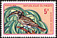 African Grey Hornbill Lophoceros nasutus  1971 Birds 