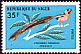 Sahel Paradise Whydah Vidua orientalis  1978 Birds 