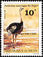 Common Ostrich Struthio camelus  1981 Animals 6v set
