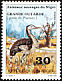 Arabian Bustard Ardeotis arabs