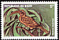 African Grey Hornbill Lophoceros nasutus  1996 Birds 