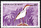 Western Cattle Egret Bubulcus ibis