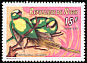 Rose-ringed Parakeet Psittacula krameri  1997 Birds 