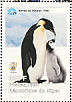 Emperor Penguin  Aptenodytes forsteri