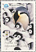 Emperor Penguin Aptenodytes forsteri