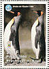 King Penguin Aptenodytes patagonicus  1998 Animals of the world, Penguins Sheet