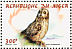 Short-eared Owl Asio flammeus  1998 Raptors Sheet