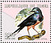 Golden-breasted Starling Lamprotornis regius  2000 Birds of Africa Sheet